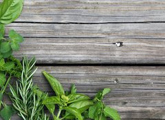 Fototapeta pltno 160 x 116, 67467429 - herbs - byliny