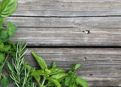 Samolepka flie 200 x 144, 67467429 - herbs