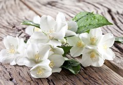 Samolepka flie 145 x 100, 67481139 - Jasmine flowers over old wooden table. - Jasmnov kvtiny nad starm devnm stolem.