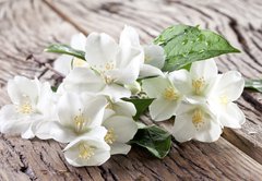 Fototapeta145 x 100  Jasmine flowers over old wooden table., 145 x 100 cm