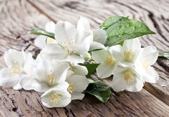 Fototapeta papr 184 x 128, 67481139 - Jasmine flowers over old wooden table. - Jasmnov kvtiny nad starm devnm stolem.