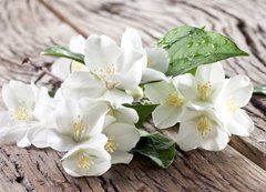 Samolepka flie 200 x 144, 67481139 - Jasmine flowers over old wooden table.