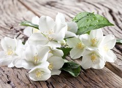 Fototapeta vliesov 200 x 144, 67481139 - Jasmine flowers over old wooden table.