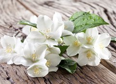 Fototapeta240 x 174  Jasmine flowers over old wooden table., 240 x 174 cm