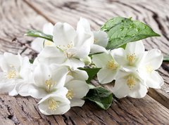 Fototapeta vliesov 270 x 200, 67481139 - Jasmine flowers over old wooden table.