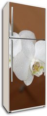 Samolepka na lednici flie 80 x 200  orchidea, 80 x 200 cm