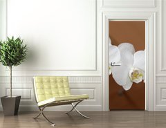 Samolepka na dvee flie 90 x 220  orchidea, 90 x 220 cm