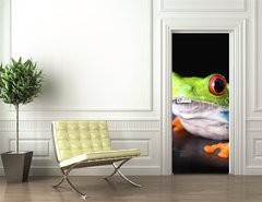 Samolepka na dvee flie 90 x 220  frog closeup on black, 90 x 220 cm