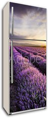 Samolepka na lednici fólie 80 x 200, 67559194 - Lavender Sunrise - Levandule Východ slunce