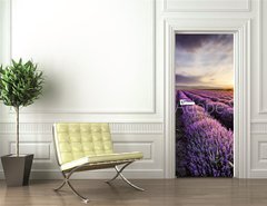 Samolepka na dvee flie 90 x 220  Lavender Sunrise, 90 x 220 cm
