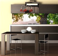 Fototapeta do kuchyn flie 260 x 60, 67675896 - Oak tree in full leaf in summer standing alone
