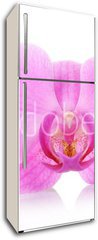 Samolepka na lednici fólie 80 x 200, 67865693 - The orchid flowers - Květiny orchidejí