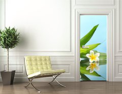 Samolepka na dveře fólie 90 x 220, 68018775 - Spa still life