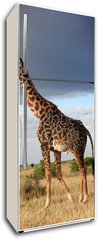 Samolepka na lednici flie 80 x 200, 68090658 - Girafe mle qui parade