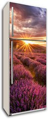Samolepka na lednici fólie 80 x 200, 68209726 - Stunning landscape with lavender field at sunrise - Ohromující krajina s levandulem pole při východu slunce