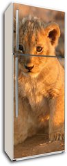 Samolepka na lednici flie 80 x 200  lion cub, 80 x 200 cm