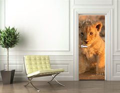 Samolepka na dvee flie 90 x 220  lion cub, 90 x 220 cm