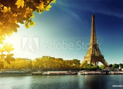 Fototapeta papr 160 x 116, 68288311 - Seine in Paris with Eiffel tower in autumn season