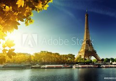 Fototapeta papr 184 x 128, 68288311 - Seine in Paris with Eiffel tower in autumn season