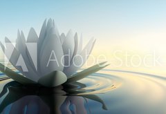 Fototapeta pltno 174 x 120, 68326975 - Lotusblte im See