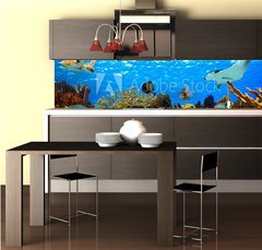 Fototapeta do kuchyně fólie 260 x 60, 68530036 - underwater panorama of a tropical reef in the caribbean - podvodní panorama tropického útesu v Karibiku