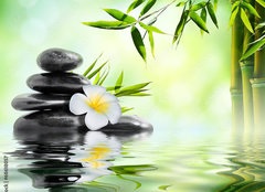 Fototapeta plátno 160 x 116, 68618057 - spa massage treatment in garden with frangipani and bamboo - lázeňská masáž v zahradě s keři a bambusem