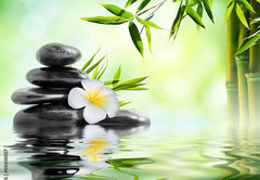 Fototapeta pltno 174 x 120, 68618057 - spa massage treatment in garden with frangipani and bamboo