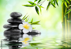 Fototapeta papr 184 x 128, 68618057 - spa massage treatment in garden with frangipani and bamboo