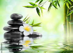 Samolepka flie 200 x 144, 68618057 - spa massage treatment in garden with frangipani and bamboo - lzesk mas v zahrad s kei a bambusem