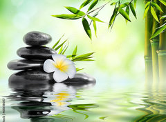 Fototapeta pltno 330 x 244, 68618057 - spa massage treatment in garden with frangipani and bamboo