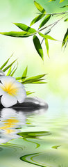 Samolepka na dvee flie 90 x 220, 68618057 - spa massage treatment in garden with frangipani and bamboo