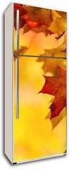 Samolepka na lednici fólie 80 x 200, 68808706 - Colorful autumn maple leaves on a tree branch - Barevné podzimní javorové listy na větvi stromu