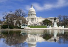 Fototapeta145 x 100  Washington DC, US Capitol building, 145 x 100 cm