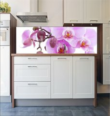 Fototapeta do kuchyn flie 180 x 60  Violet orchid, 180 x 60 cm