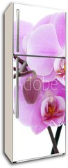 Samolepka na lednici fólie 80 x 200, 6889647 - Violet orchid - Fialová orchidej