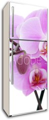 Samolepka na lednici flie 80 x 200, 6889647 - Violet orchid - Fialov orchidej