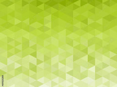 Samolepka flie 270 x 200, 69323288 - Abstract green background
