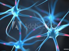 Samolepka flie 100 x 73  Neurons in the brain, 100 x 73 cm