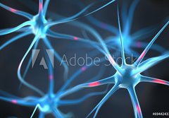 Fototapeta184 x 128  Neurons in the brain, 184 x 128 cm