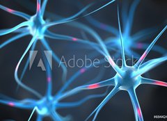 Fototapeta pltno 240 x 174, 69442433 - Neurons in the brain - Neurony v mozku