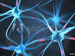 Fototapeta270 x 200  Neurons in the brain, 270 x 200 cm