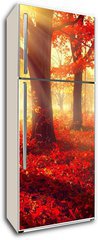 Samolepka na lednici flie 80 x 200, 69511191 - Fall scene. Beautiful autumnal park in sunlight