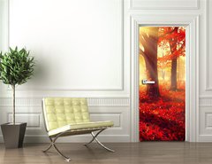 Samolepka na dvee flie 90 x 220, 69511191 - Fall scene. Beautiful autumnal park in sunlight