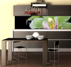 Fototapeta do kuchyn flie 260 x 60, 6971855 - Green orchid with red spots - Zelen orchidej s ervenmi skvrnami