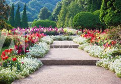 Fototapeta pltno 174 x 120, 69808368 - Flower Garden