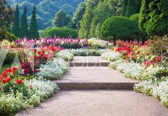 Fototapeta papr 184 x 128, 69808368 - Flower Garden