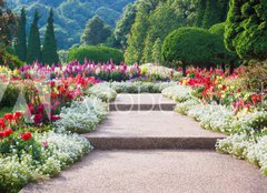 Fototapeta pltno 240 x 174, 69808368 - Flower Garden - Kvtinov zahrada