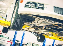Samolepka flie 100 x 73, 69826596 - Lifted Car Maintenance