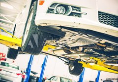 Samolepka flie 145 x 100, 69826596 - Lifted Car Maintenance