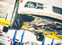 Samolepka flie 200 x 144, 69826596 - Lifted Car Maintenance